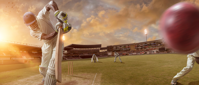 Cricket Parking in Melbourne