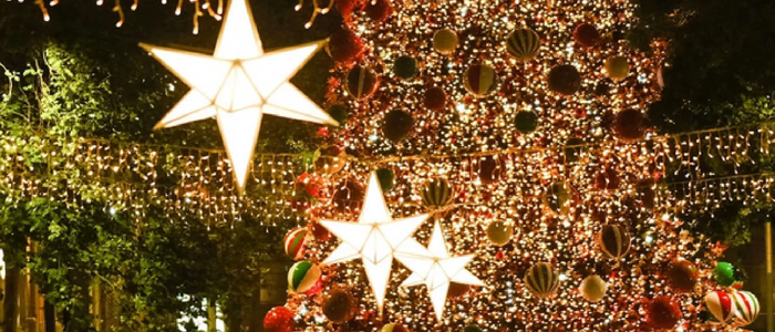 Sydney Christmas Parking 2021